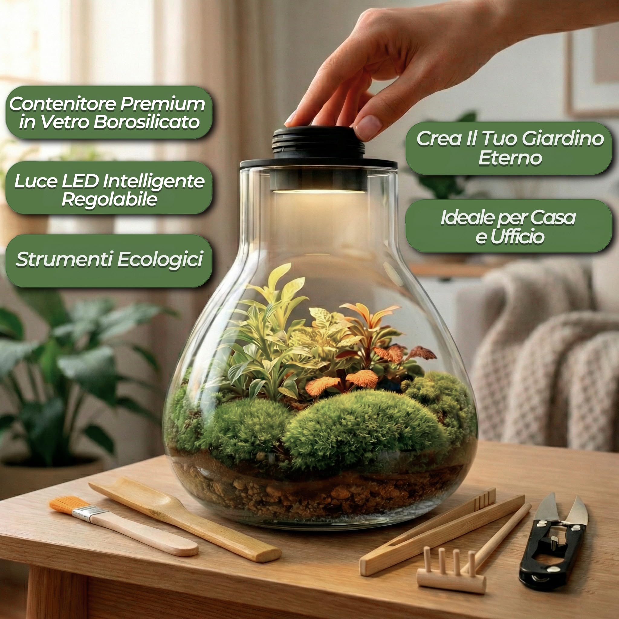Kit terrario per piante Kit di strumenti contenitore in Borosilicato & luce LED intelligente