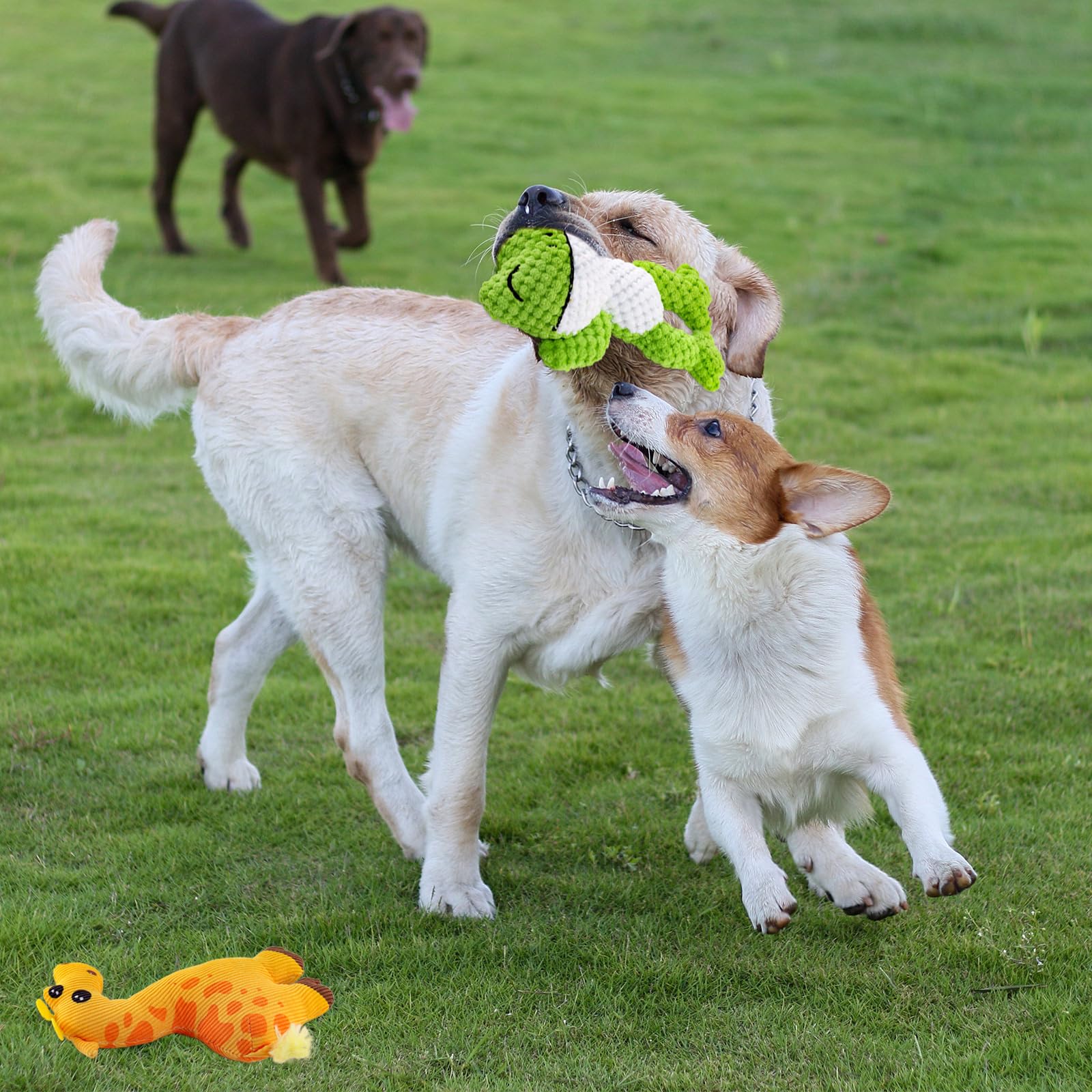 4 PCS Juguetes para Perro con Chirriador Squeaky, Lindos Interactivos Juguetes de Peluche Suave para Perros Pequeños para Aliviar el Aburrimiento, hasta 12 kg