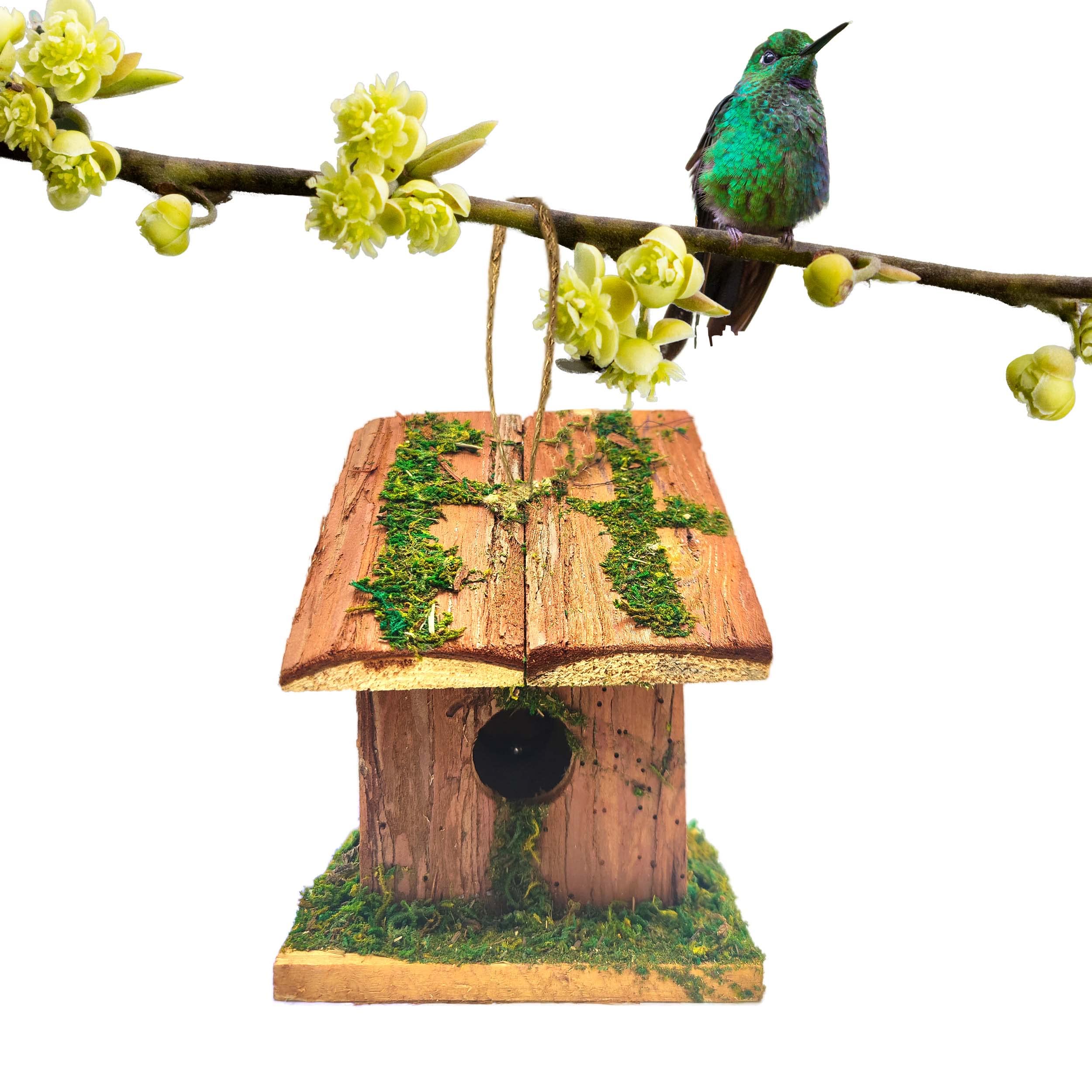 BESCH Pack 2 Nidos para Pájaros Pequeños de Hierba Natural 16x16x19cm Tejado Plano - Casita de Pajaro Colgante Exterior - Casa Pajaro Jardín — view 7