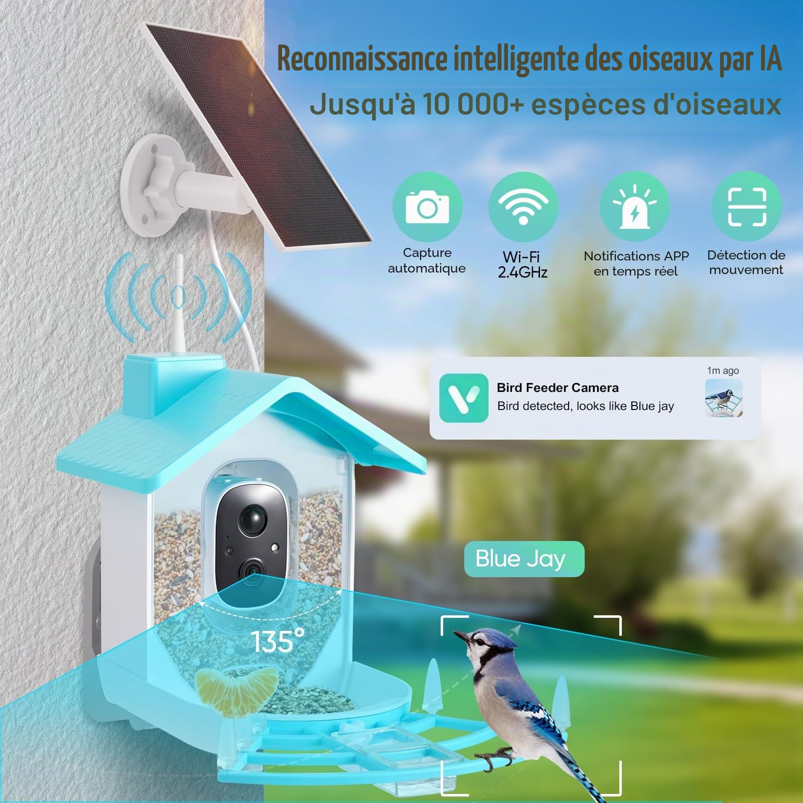 Mangeoire solaire pour oiseaux avec caméra, 1080p, résistante aux intempéries IP66, suivi AI de plus de 10 000 espèces d'oiseaux (bleu)