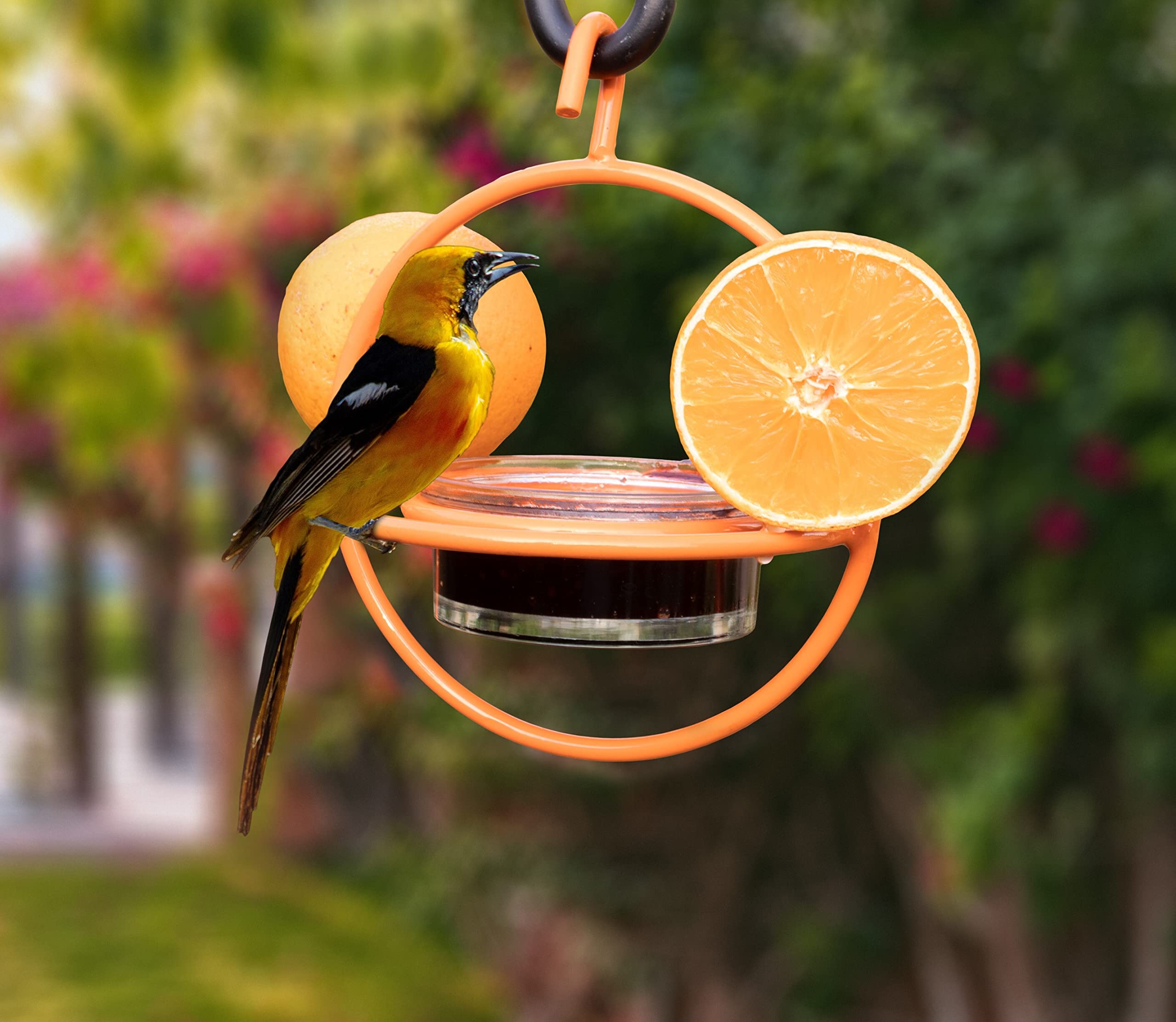 Monarch Abode Comedero Colgante para pájaros Oriole al Aire Libre, Naranja, 18748