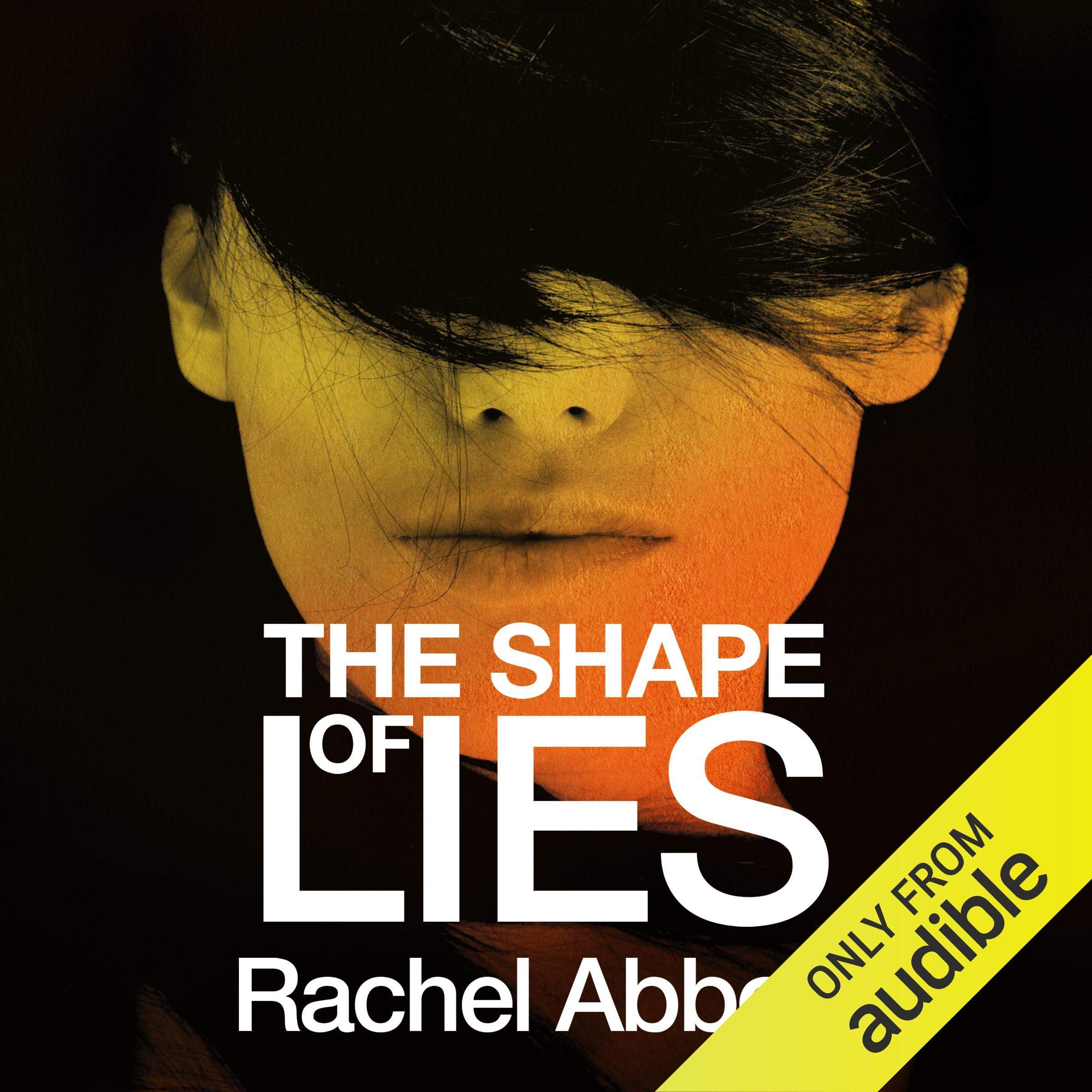 Cover art for The Shape of Lies