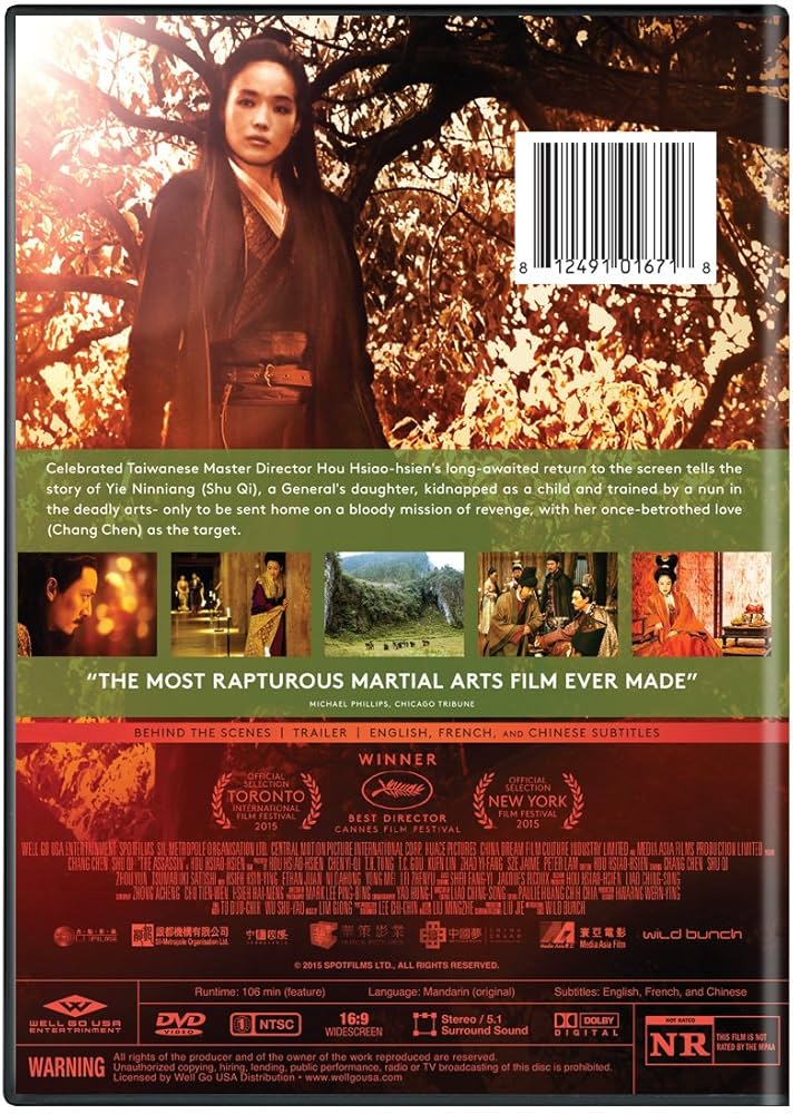 Amazon.com: The Assassin : Satoshi Tsumabuki, Chen Chang