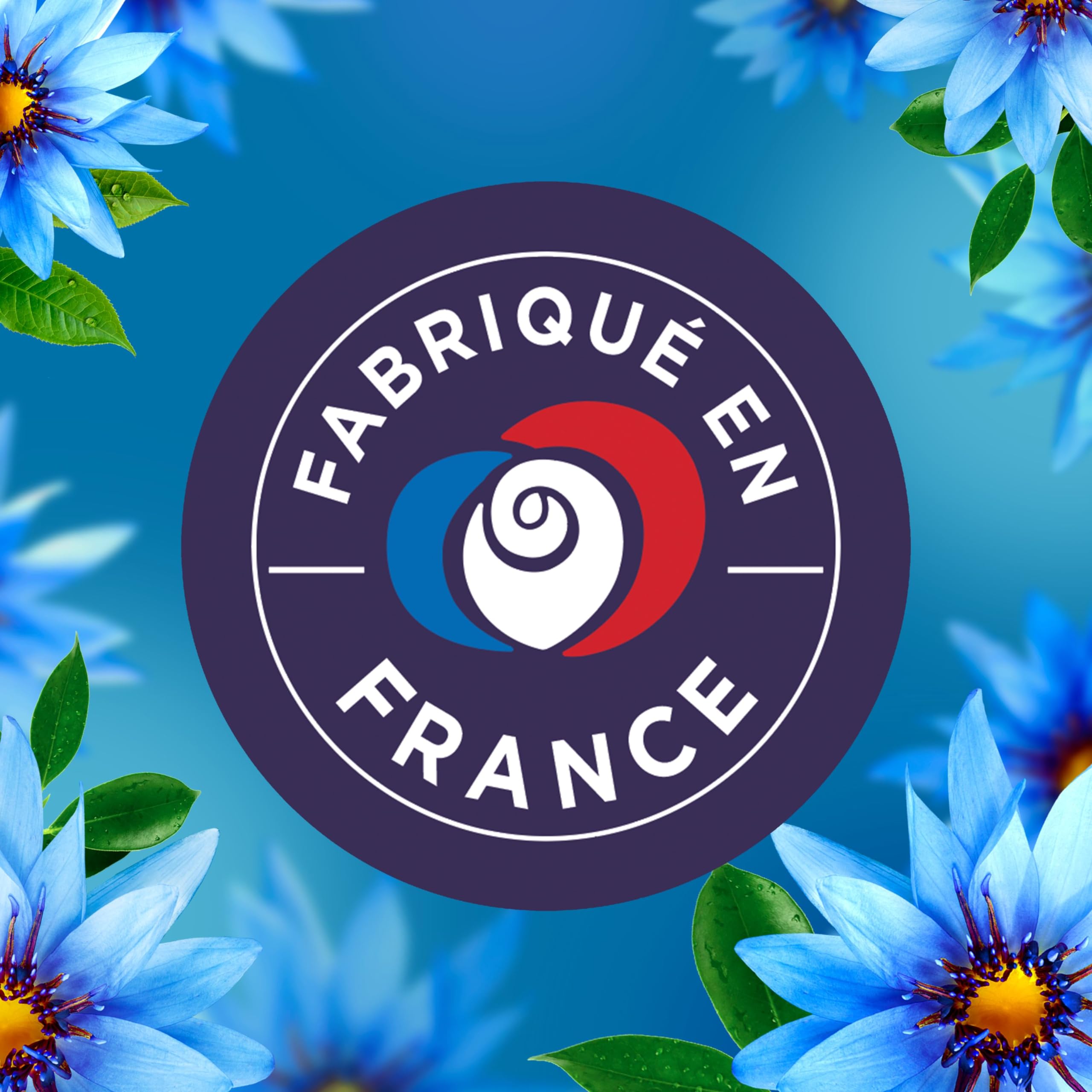 Lenor Adoucissant, 504 Lavages (12 x 42 Lavages), Envolée d’Air, 24H De Fraîcheur Relaxante, Avec Une Touche D’Huiles Essentielles