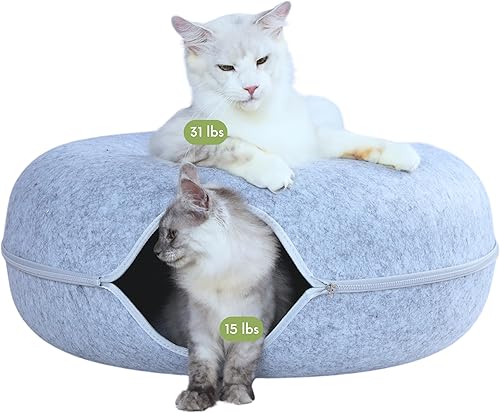 Cattasaurus - Cueva con ventana para varios gatos y gatos grandes de 30 a 45 libras, resiste arañazos, cama túnel desmontable y lavable, cómoda, en