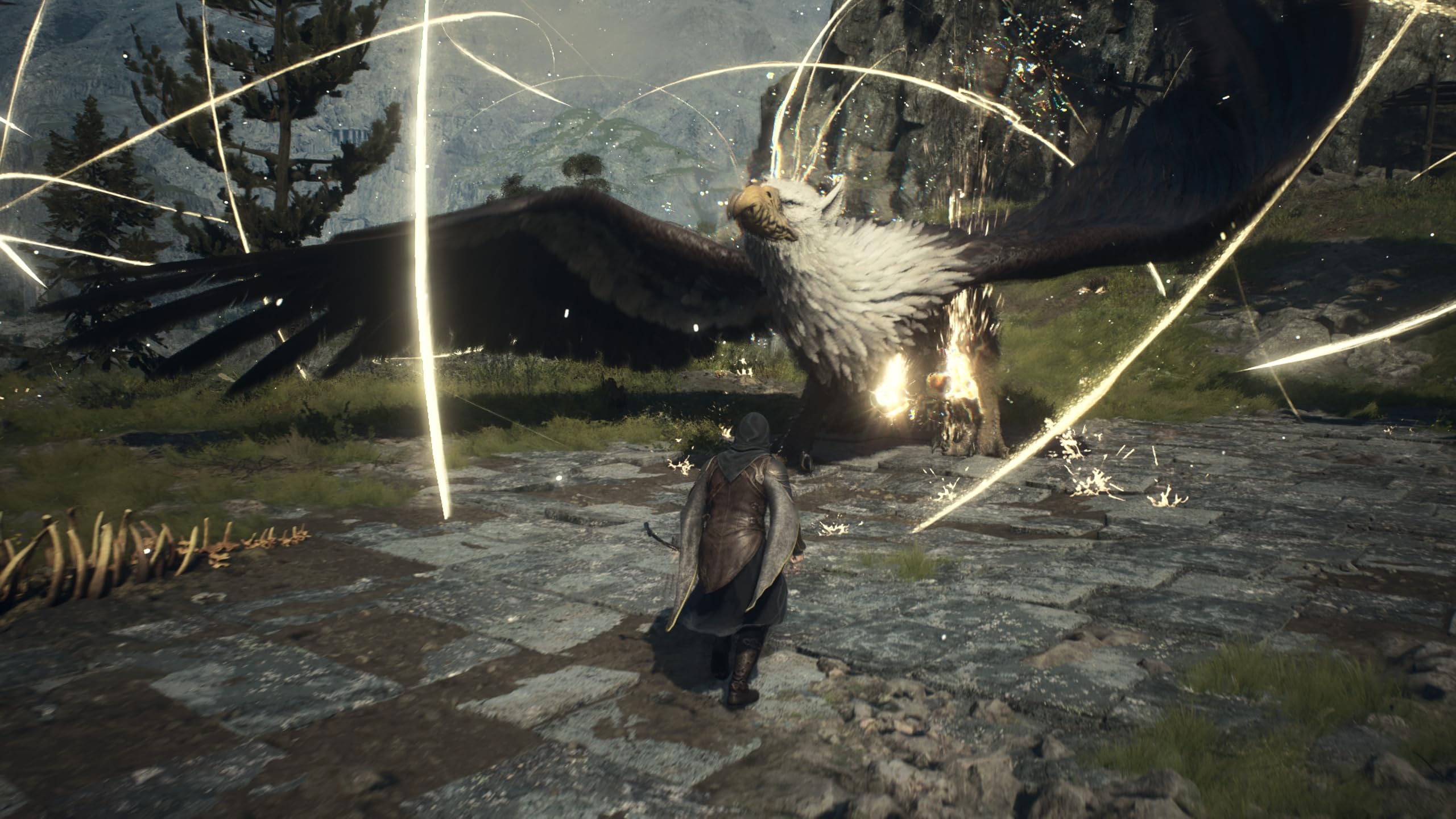 Promo Le Jeu Ps5 Dragon's Dogma 2 chez Auchan