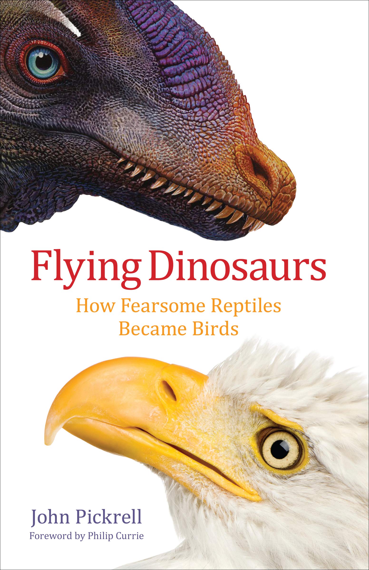 Flying Dinosaurs: How Fearsome Reptiles Became Birds
