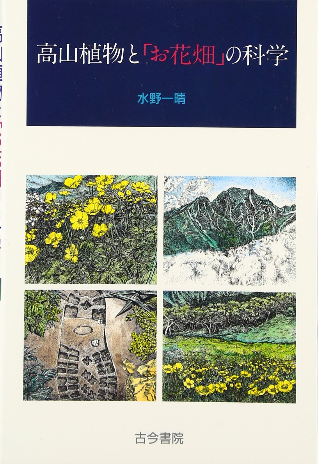 81P0qjCn4fL.jpg