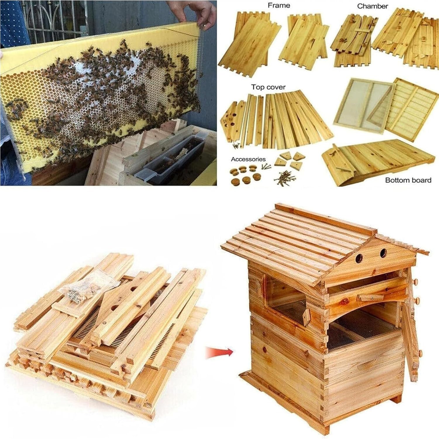 Kit de Inicio de Colmena de Abejas Caja de Abeja Completa con Ventana observación y Boquilla Miel Carpintero para polinizadores jardín para Principiantes,0.1,51×41×26cm