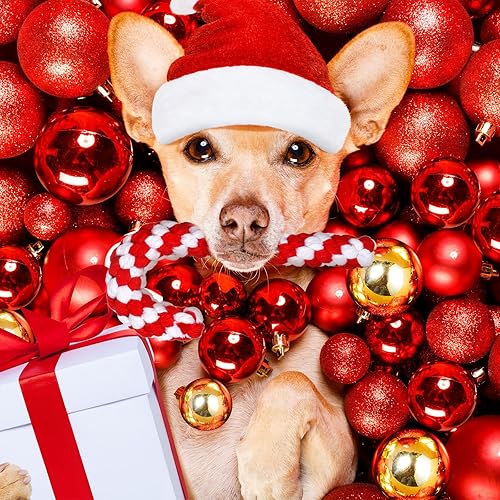 Miniatura 2 de Liliful 24 piezas de cuerda de Navidad para perros, juguetes de cuerda de bastón de caramelo para perros, juguetes masticables de Navidad para