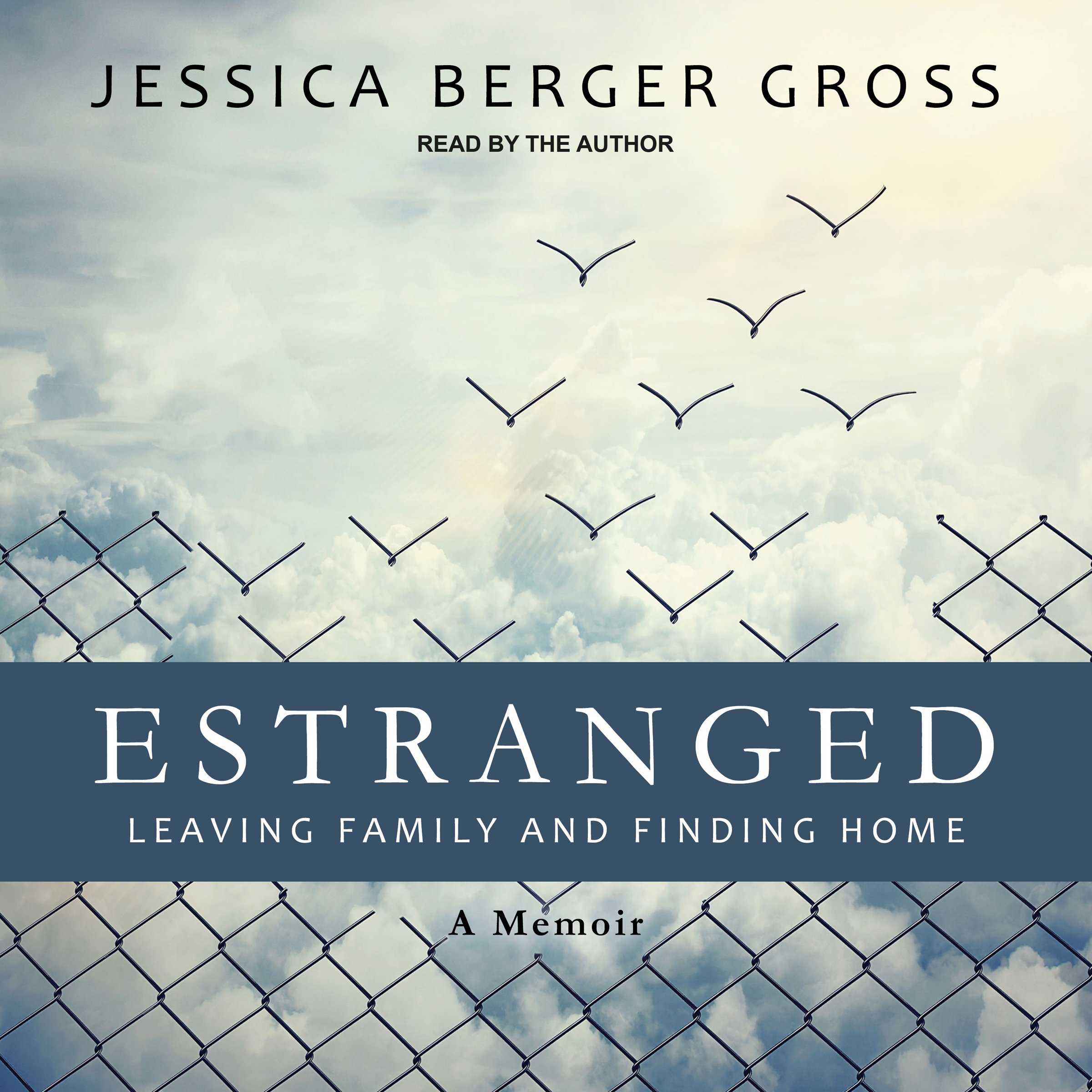 Cover art for Estranged