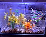 Review Image by Alyssa Alyssa