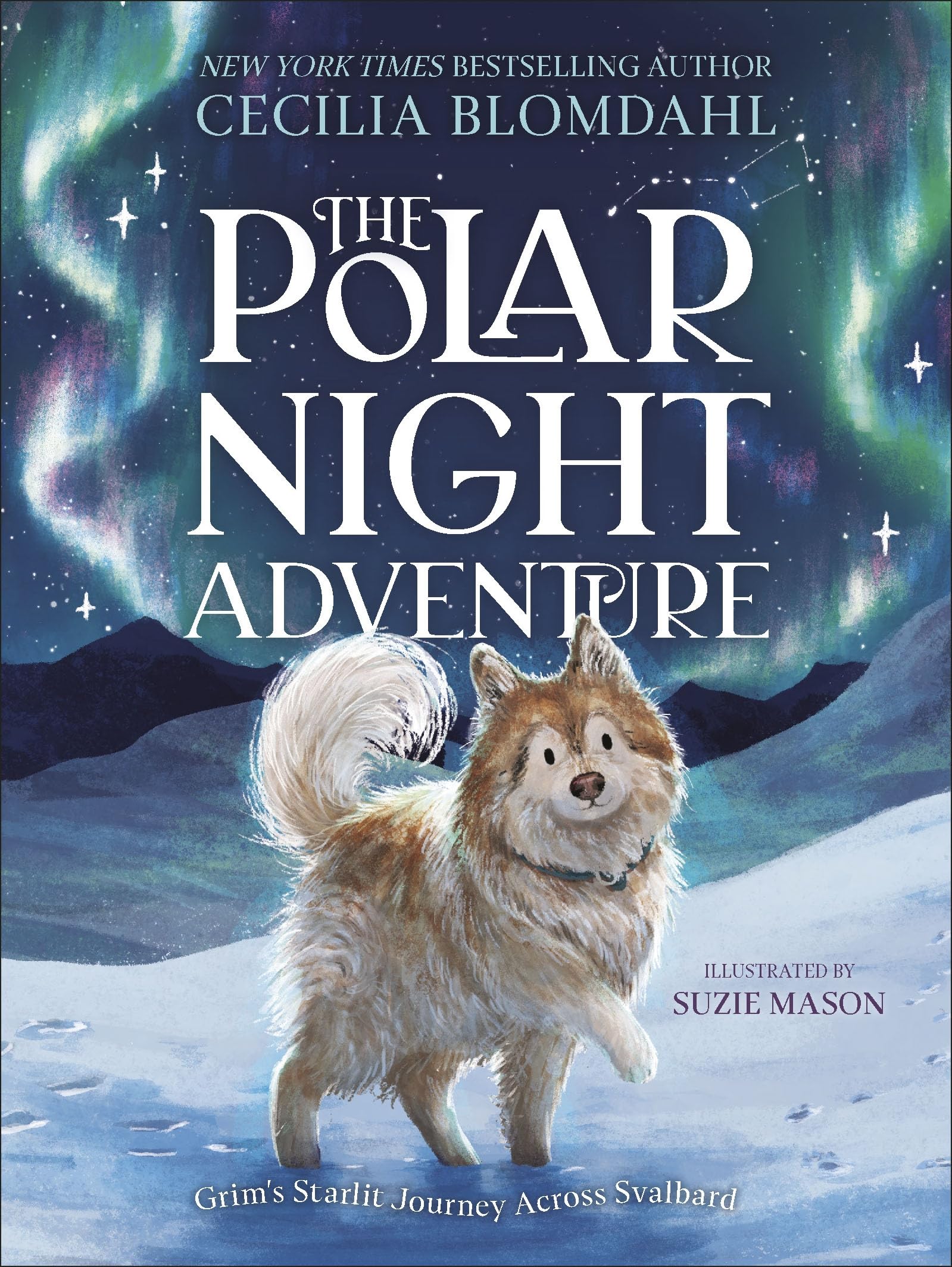 The Polar Night Adventure: Grim's Starlit Journey Across Svalbard