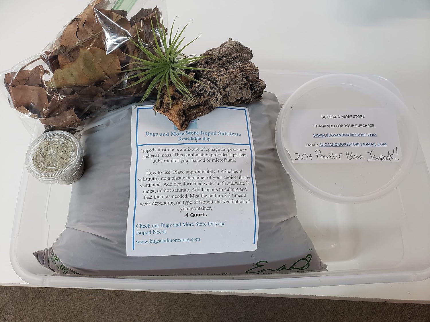 Isopod Starter Kit Includes 20+ Powder Blue Isopods and 8oz. Springtail Culture Included in to Start Your own Isopod Colony