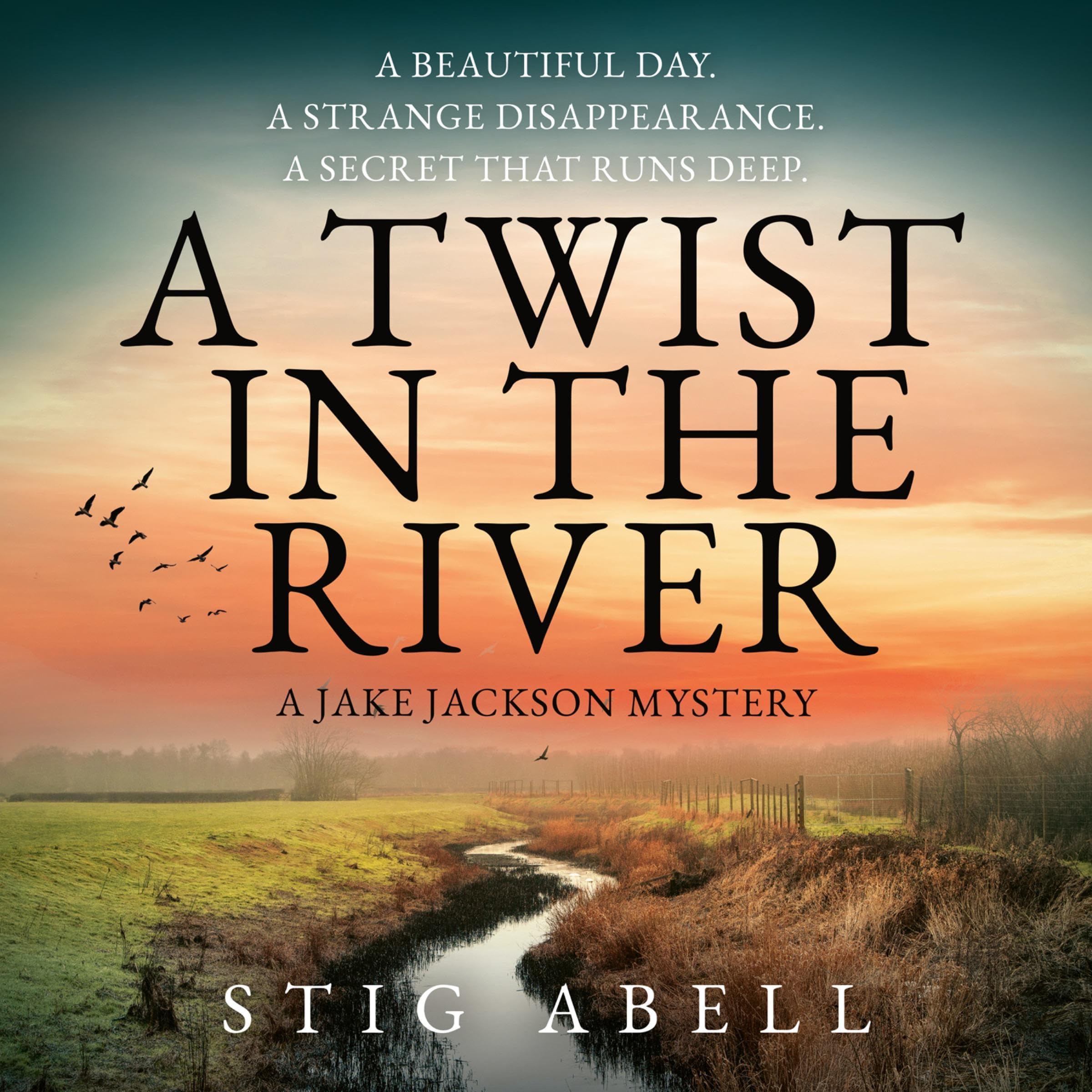 Cover art for A Twist in the River