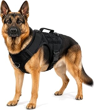 Albcorp Tactical Dog Harness - Heavy Duty, No-Pull Training Vest for Large Breeds, Military Service Dog Vest with Front Leash Clip, Hook & Loop Panels, Padded Handle Black, Large