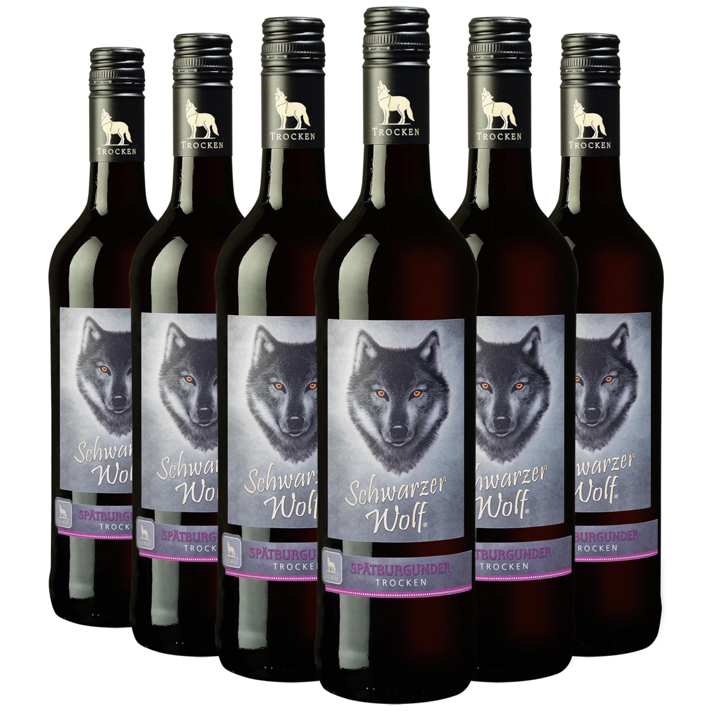 Wolfenweiler Spätburgunder trocken - Schwarzer Wolf rubinroter Rotwein trocken mit Holz- und Vanillearomen - Wein aus dem Markgräflerland Baden (6 x 0,75l)