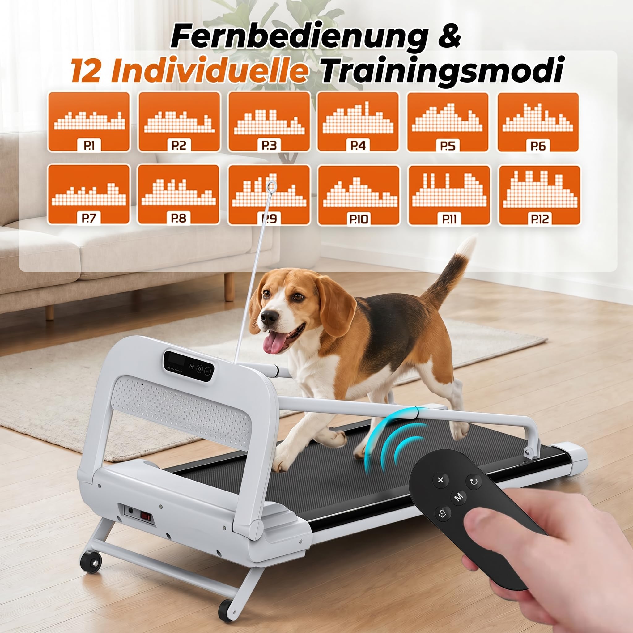 Hundelaufband für Kleine & Mittelgroße Hunde, 100 × 40 cm Laufbereich
