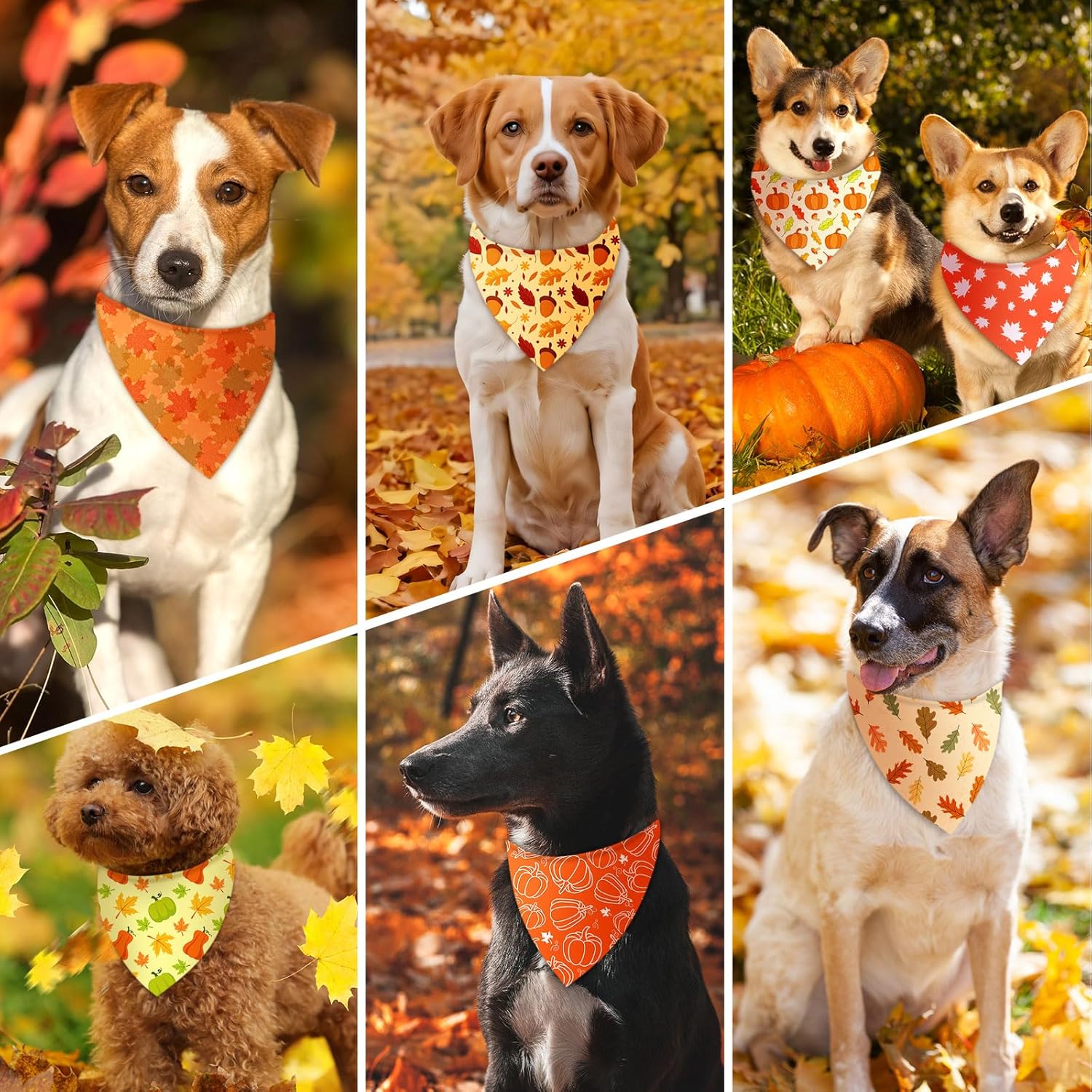 500 Pcs Thanksgiving Fall Bandanas Bulk for Dogs Autumn Bandanas with Maple Leaves Pumpkin Soft Bibs Adjustable Triangle Doggie Scarf for Small Medium Large Costume 25.6 x 17.7 x 17.7 Inch