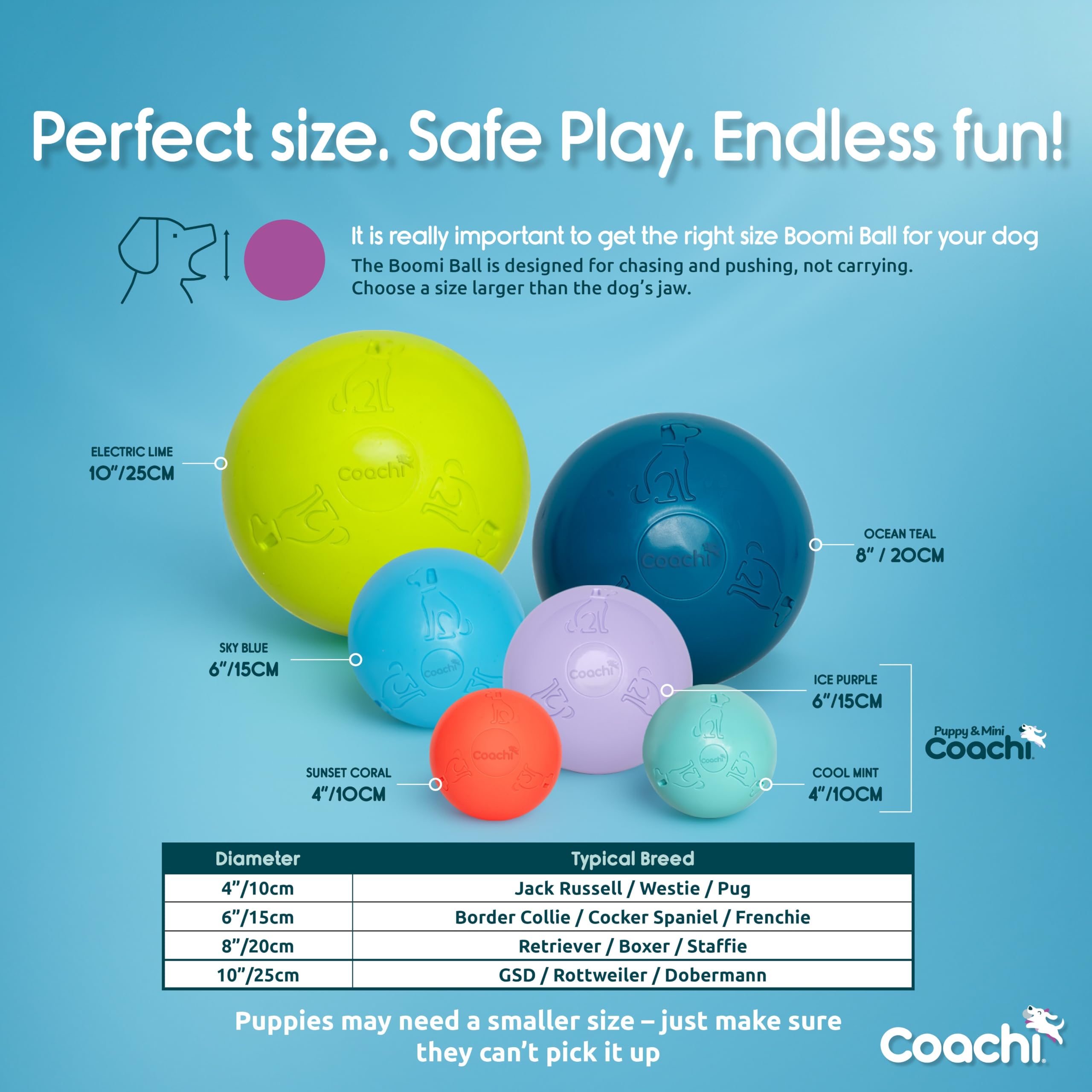 Coachi Boomi Balle | 25 cm | Chaux électrique | Jouet résistant pour chiens actifs | Durable et Longue Durée | Flotte pour le Jeu Aquatique | Conçu par des experts canins