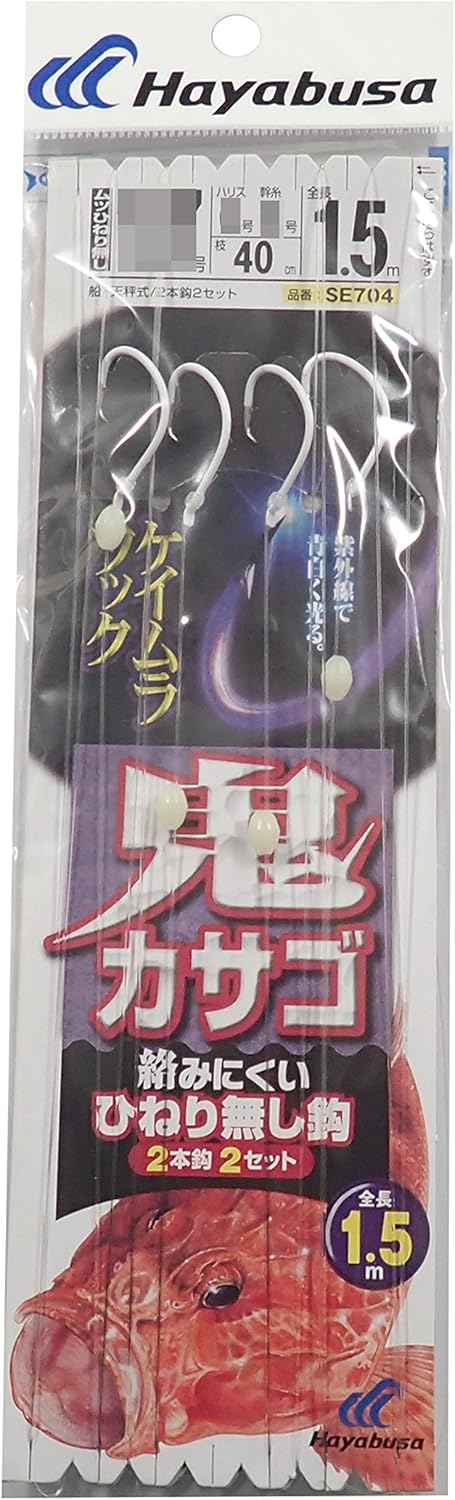 ハヤブサ(Hayabusa)
