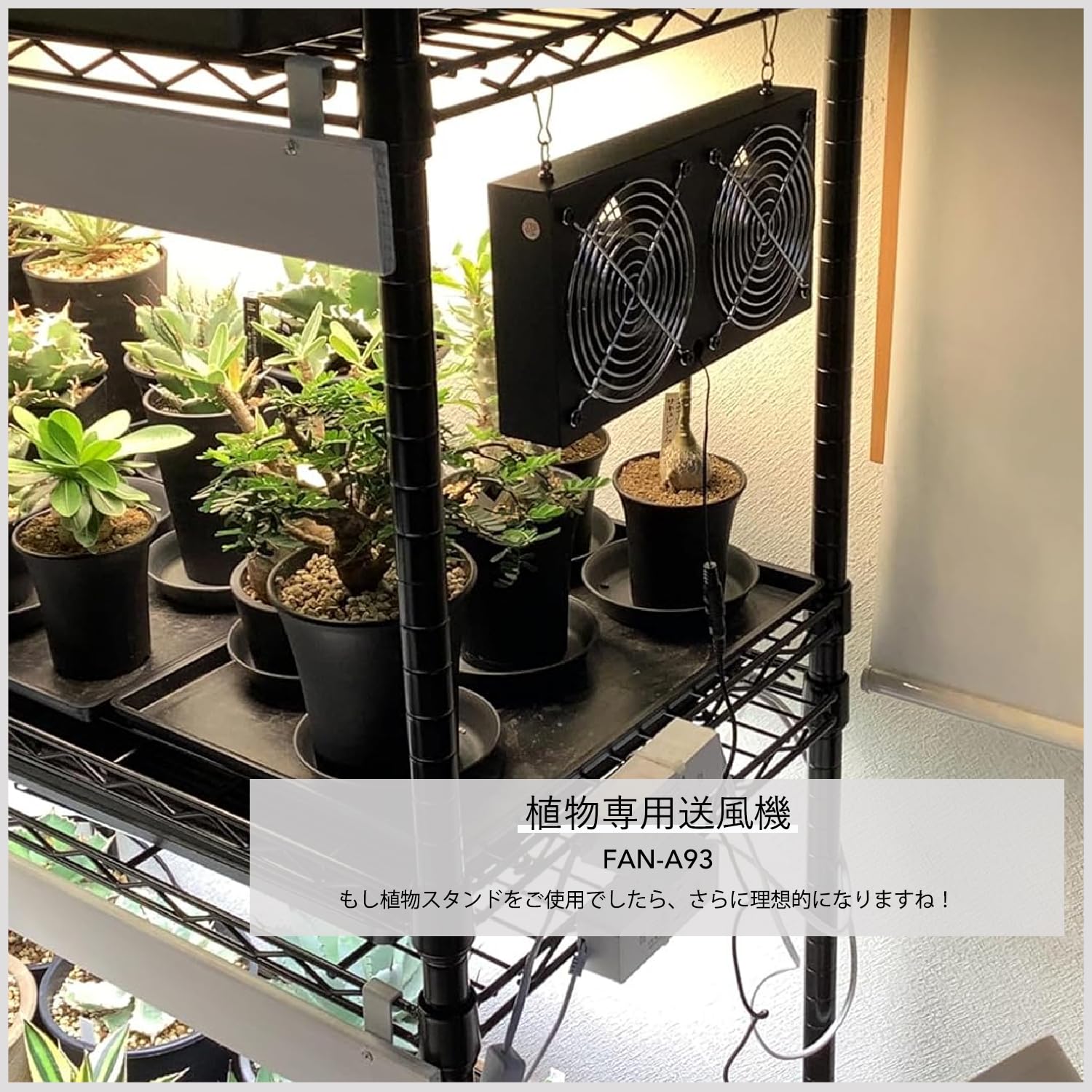 雲風様【お待ち下さい】＊ご購入用 Amazon.co.jp: ゼクス Z/X B45-072 【邪神招来】シエアガ (RR