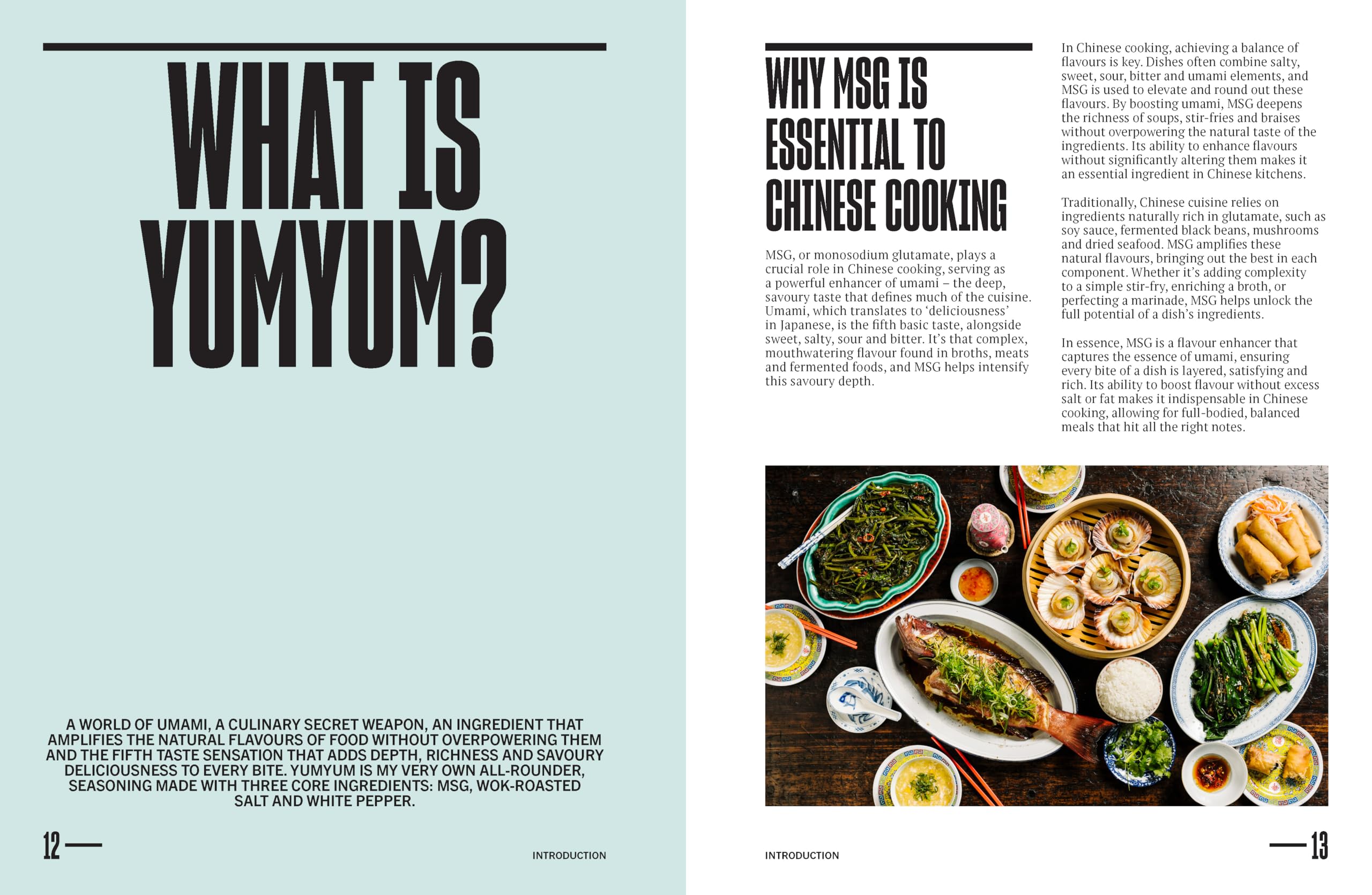 The Wolf of Wok Street: Restaurant-Quality Asian Food in 80+ Recipes