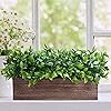 Product Photo 8