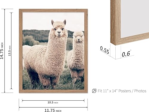 Vista 100 de Poster Master Póster de alpaca – Impresión de alpacas en pastizales – Arte de fotografía – Regalo para hombres, mujeres y amantes de los animales