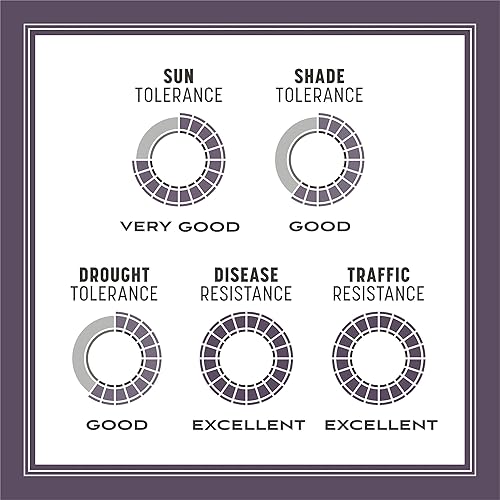 Miniatura 11 de Pennington cizañas anuales para césped de estación cálida con semillas