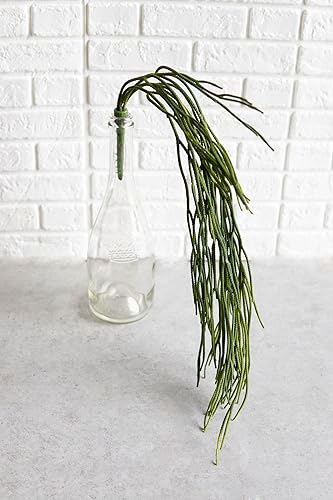 Miniatura 6 de Ebros Gift Paquete de 6 plantas suculentas largas y realistas con tallos de hojas suaves y realistas de 26 pulgadas de largo, plantas suculentas