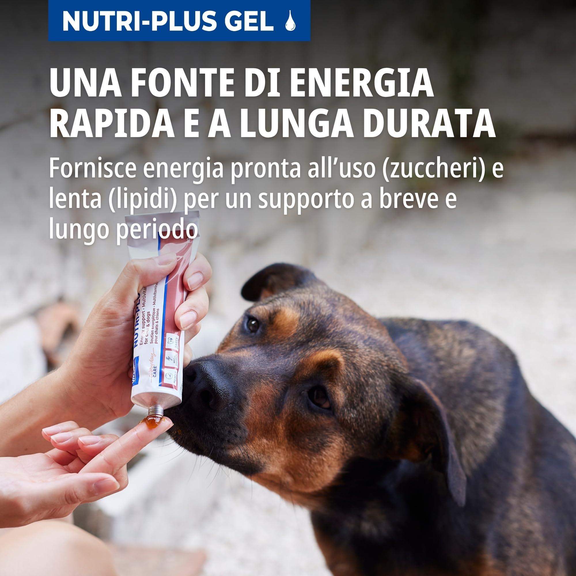 Virbac Nutri-Plus Gel | Confezione da 4 | 4 x 120 g | Alimento complementare dietetico per cani e gatti | Concentrato di energia