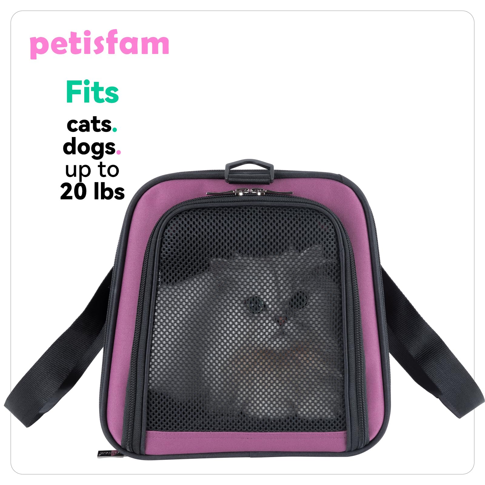 Transportbox für mittelgroße Katzen und kleine Hunde