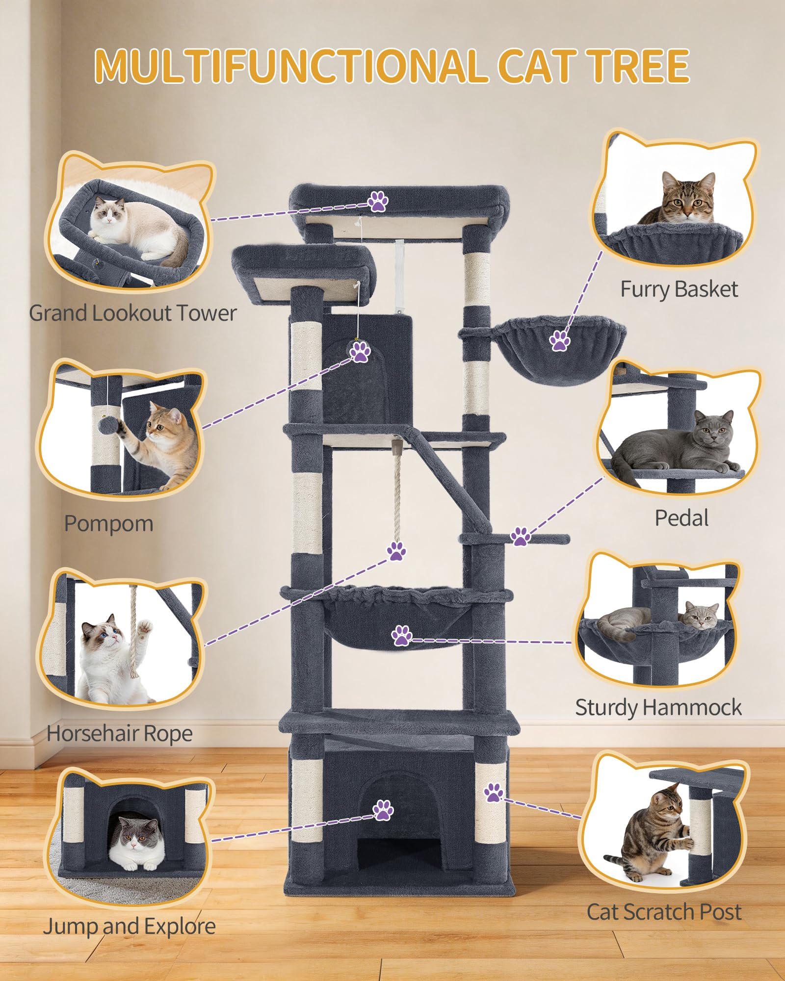 View 5