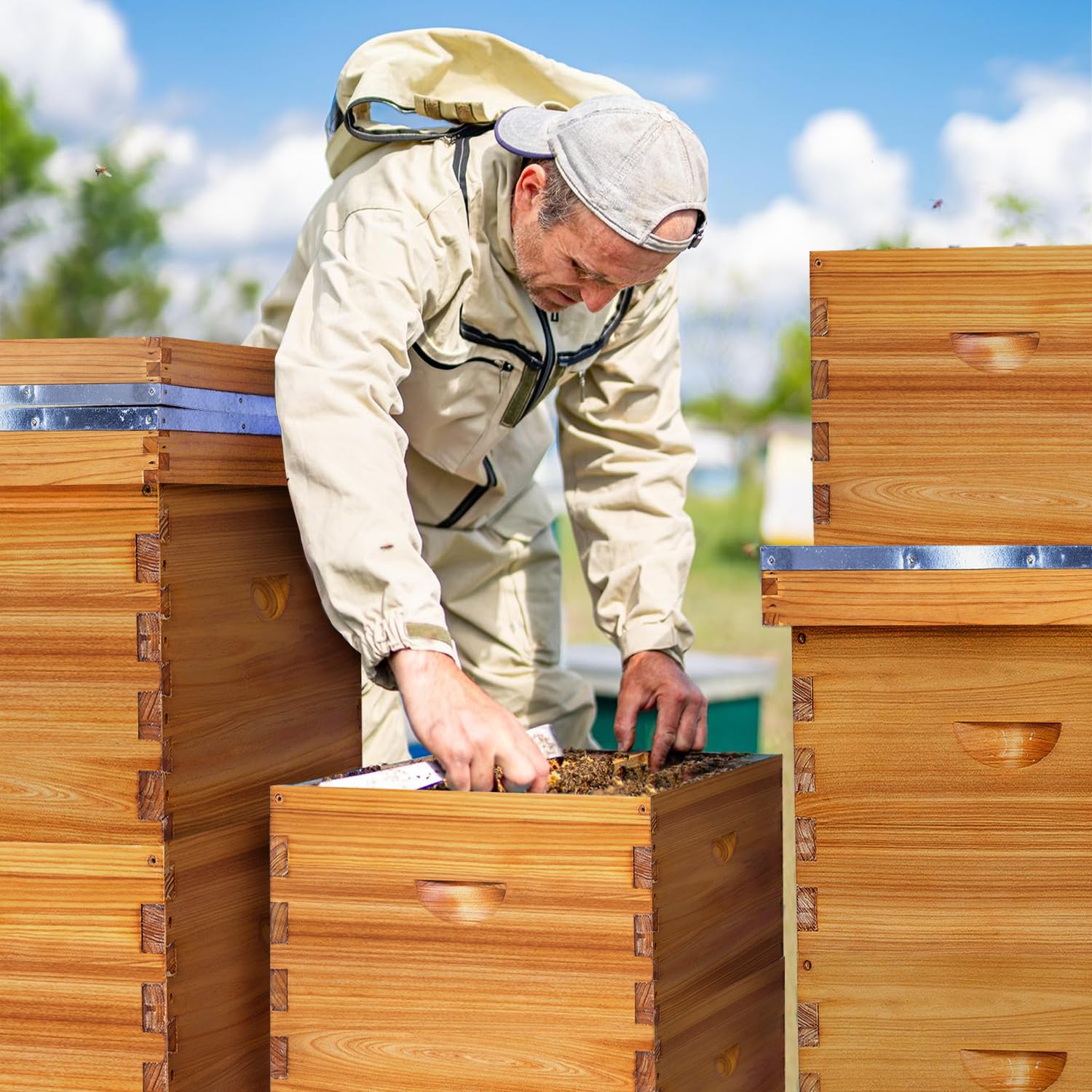 Bee Boxes and Frames Langstroth Lot de 10 cadres profonds trempés dans de la cire d'abeille 100 % cire d'abeille avec cadre et feuille de fond de teint enduite de cire d'abeille