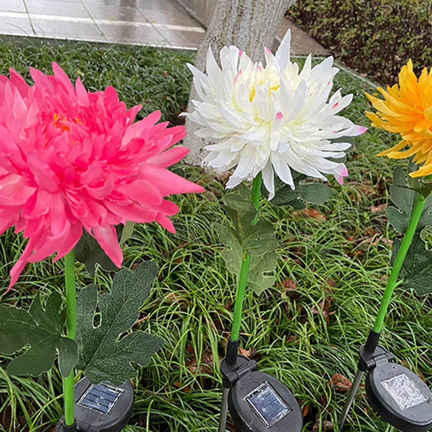 Cdbz Outdoor Solar Chrysanthemum Light Solar Garden Stake Lights For Garden Decoration And Courtyard Decoration 3 Pcs Solar Powered Flower Lights Outdoor Decor Patio Lawn Garden Biquinismaranata Com Br