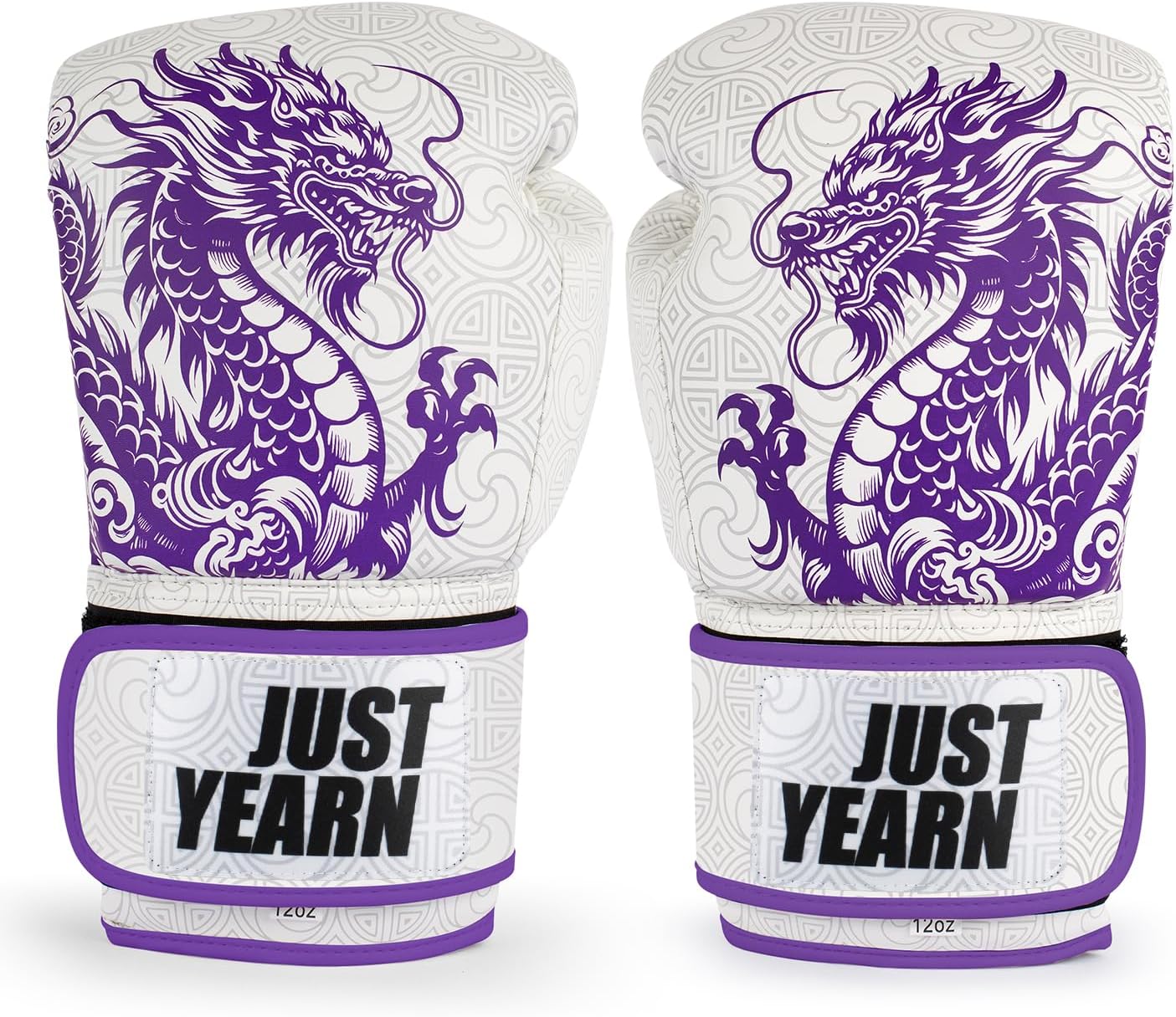 Professional Boxing Gloves for Men and Women, Training Gloves with Hook and Loop Closure, Ventilated Design