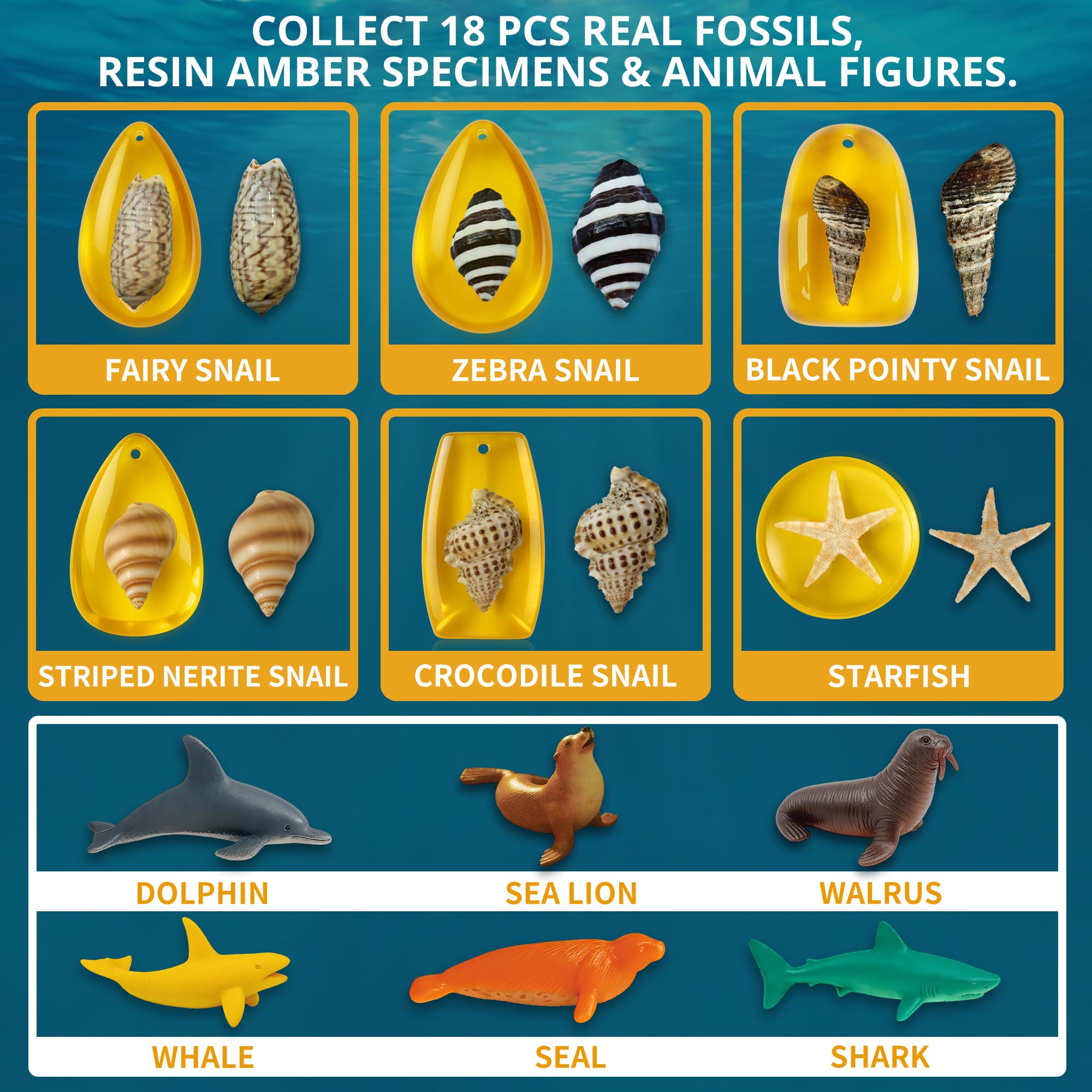 PIBEX Under-The-Sea Dig Kit – Graben und entdecken Sie 18 echte Muschelfossilien, Bernsteinschmuck und Meerestierkreaturen, Ozean-Halskette und STEM-Ausgrabungsaktivitätsspielzeug für Kinder ab 6