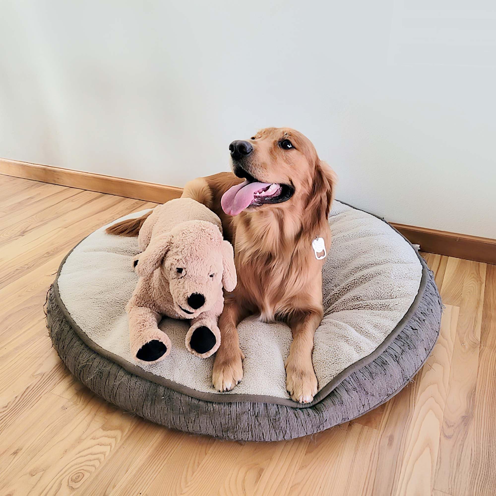 犬 ぬいぐるみ ） 人形の吉徳 （ 吉徳大光 ゴールデンレトリバー　フットレスト　ぬいぐるみ　大型 ditz ゴールデンレトリバー M （ ぬいぐるみ