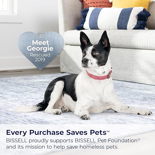 Miniatura 7 de BISSELL Little Green HydroSteam 3618 - Limpiador portátil multiusos de alfombras y tapicería, para automóviles y automóviles, 3618, puerto negro y