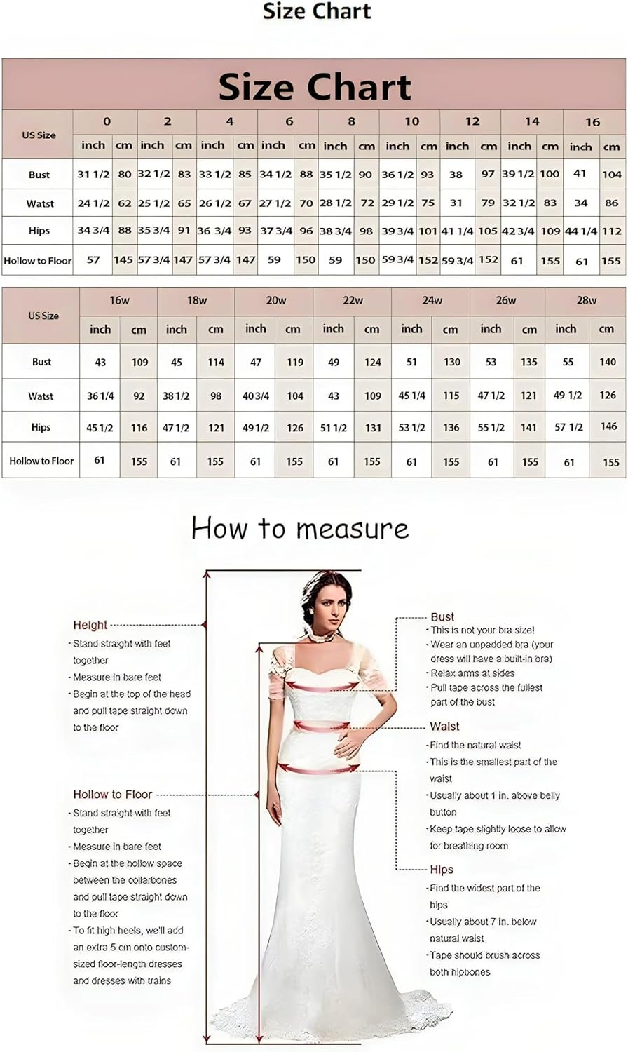 Chiffon Long Mother of The Bride Dress for Women Applique V Neck Grandmother of The Groom Dresses with Sleeve