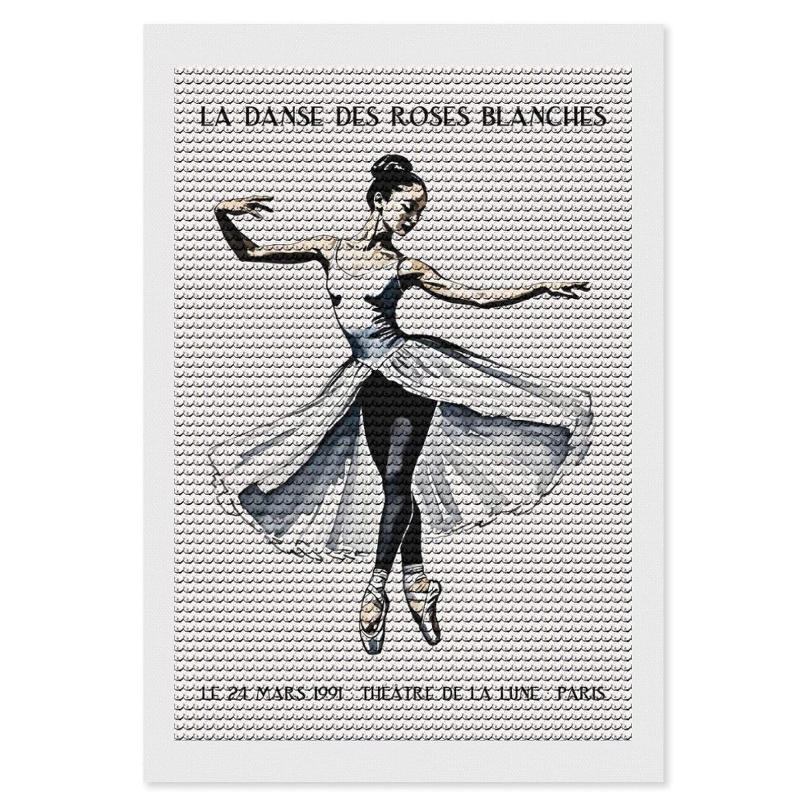 Junmoney Ballet Dancer in White Tutu DIY Diamond Art Canvas Kit 8"x12", for Adults, Decorate Your Room, Gift Idea, Modern Decor, Finish and Display
