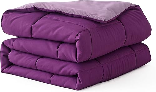 EVOLIVE Edredón reversible alternativo de plumón de microfibra suave prelavada para todas las estaciones con costuras de caja (púrpuralavanda,