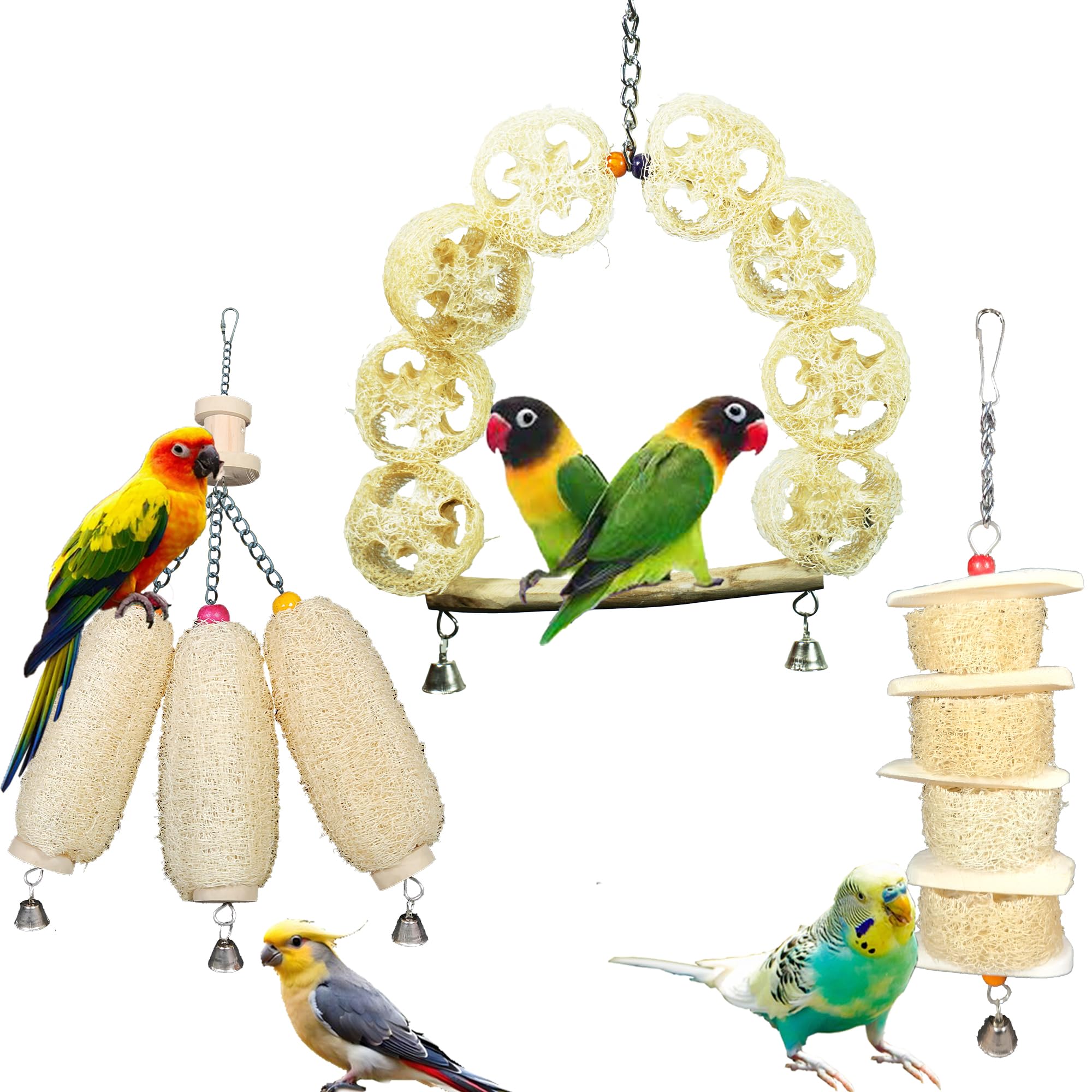 Addy Cuttlebone Bird Toys Combo - Set of 3 | 20038 | Cuttle Fish Bones | Food | Treats for Lovebirds Parrots, Budgies, Finches, Parakeets, and Other Birds.| Four Piece Free cuttlebone. (B0DB5GY26G) Amazon Price History, Amazon Price Tracker