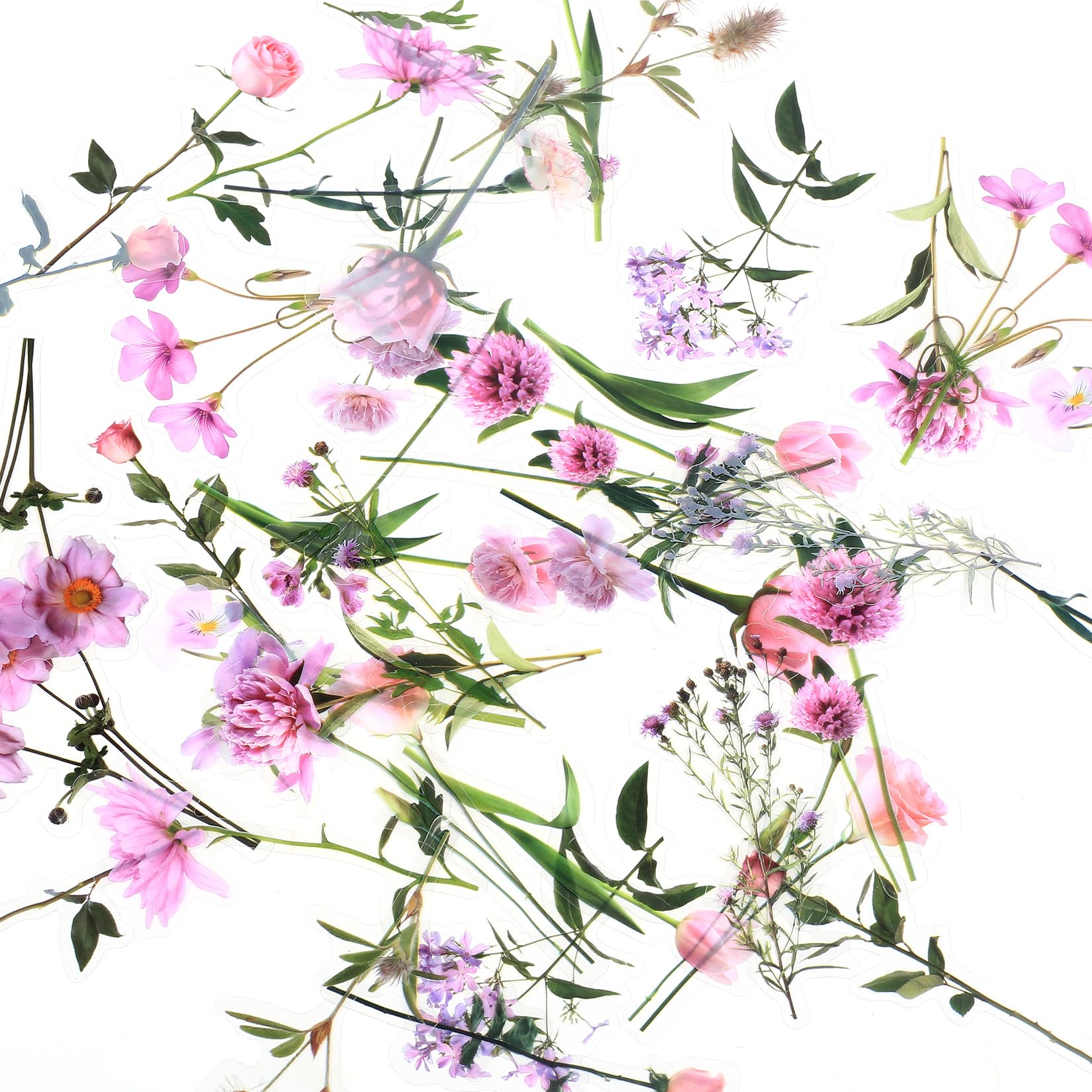 120 Stickers Fleurs Autocollants Plantes Florales Scrapbooking - Transparents Étanchés Pour Déco