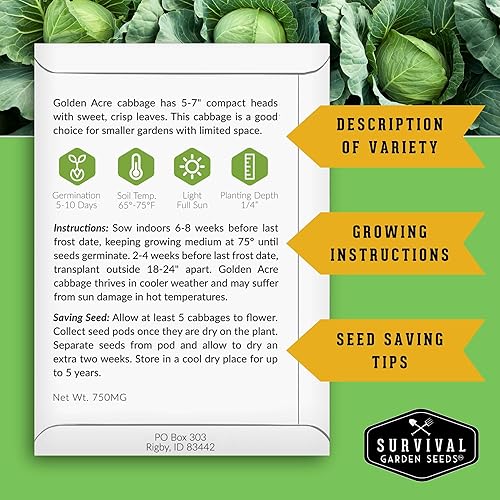 Miniatura 2 de Survival Garden Seeds - Semilla de col verde Golden Acres - 2 paquetes con instrucciones para plantar y cultivar repollos de color amarillo y blanco