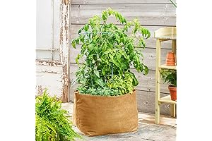 Grow Tubs® Tan Fabric Garden Containers - Heavy Duty Containers That Encourage...