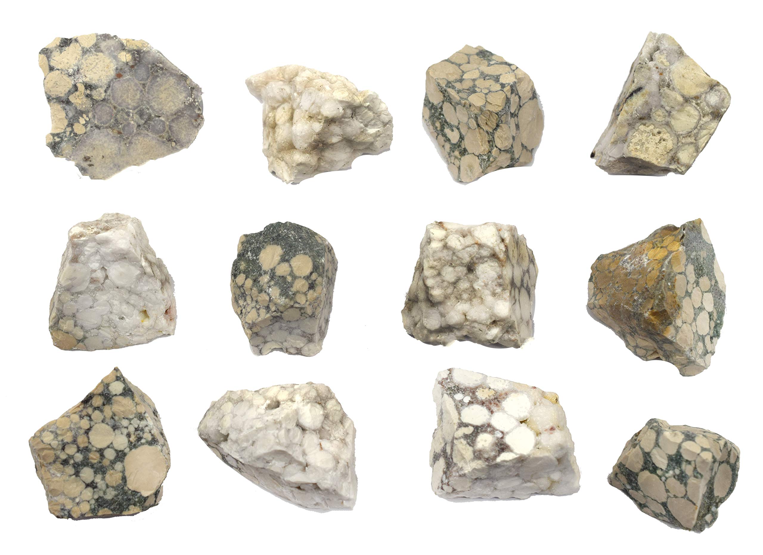 EISCO Raw Conglomerate, Sedimentary Rock Specimen - Approx. 1