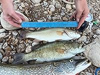 Review Image by GwenH GwenH