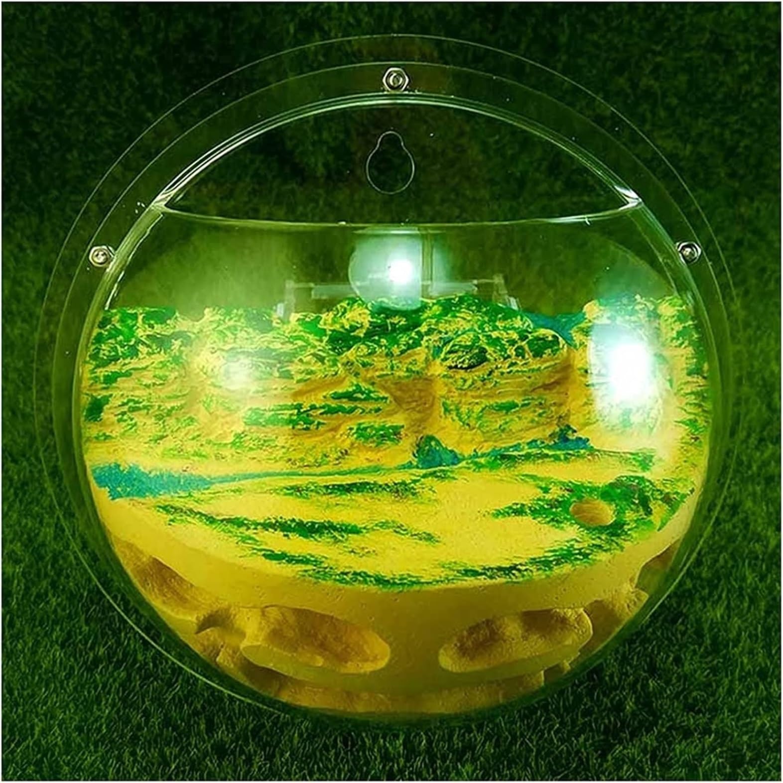 Farma Mrówek Terrarium Dla Owadów Na Farmie Mrówek, Półokrągłe Wiszące Gniazdo Odpowiednie Do Narzędzi Edukacji Naukowej Gniazdo Mrówki(Yellow)